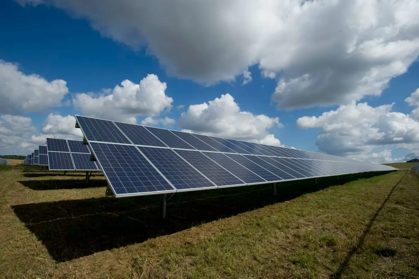 Case study of an Australian renewable energy provider