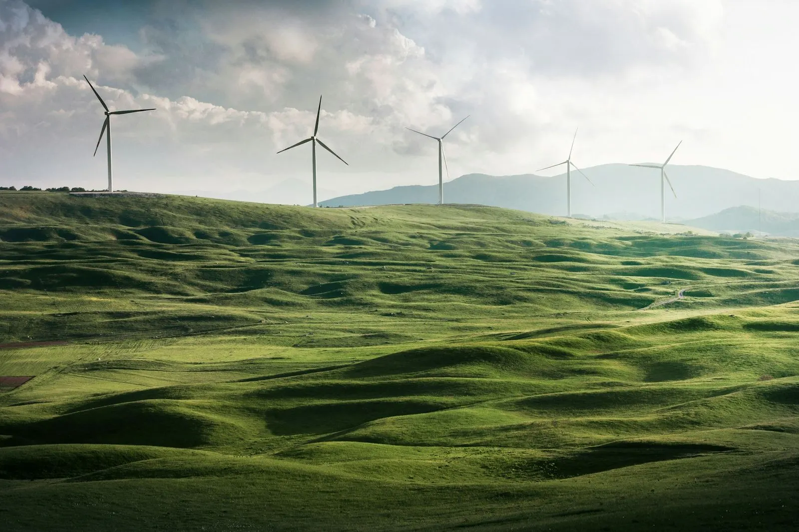 The Australian energy transition is a branding moment